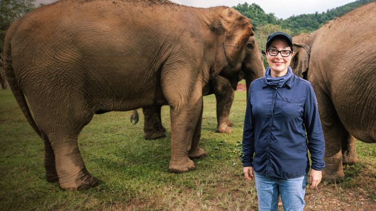 พูดถึงภาพยนตร์ Lost in Thailand การเดินทางด้านจิตใจ